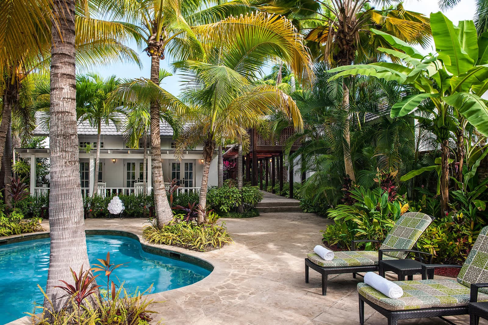 A shaded spa pool surrounded by tropical ferns